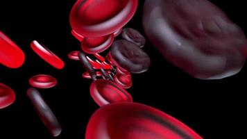 Red blood cells on black background or medical research on dna concept video