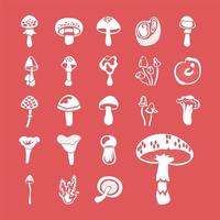 bundle of fungus set icons vector