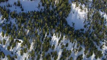 Aerial shot of snow covered forest, Alaskan wilderness video
