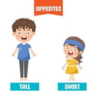 Opposite Adjectives With Cartoon Drawings vector