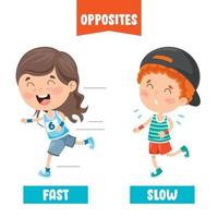 Opposite Adjectives With Cartoon Drawings vector