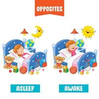 Opposite Adjectives With Cartoon Drawings vector