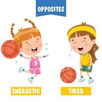 Opposite Adjectives With Cartoon Drawings vector