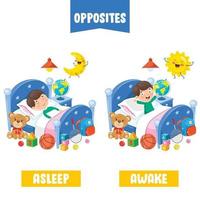 Opposite Adjectives With Cartoon Drawings vector