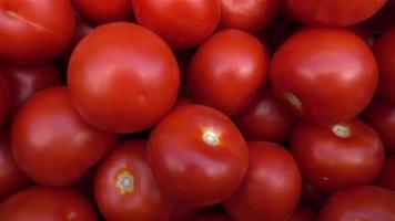 Dolly And Detailed Shot Pile Of Fresh Tomato video