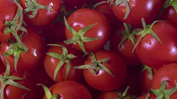 dolly och detaljerad skotthög med färsk tomat