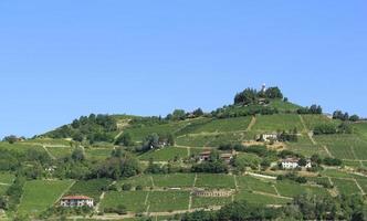 paisaje natural en toscana foto