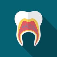 Flat design modern vector illustration of tooth icon with long shadow