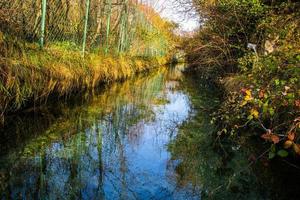 Water through trees and grass photo