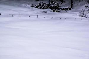 Fence and snow photo