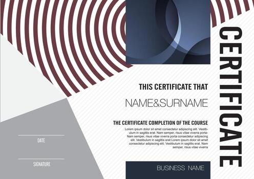 Qualification certificate template with elegant design vector
