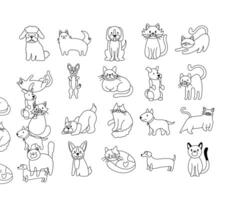 paquete de gatos y perros establecer iconos vector