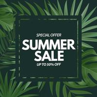 Summer sale poster. Natural Background with Tropical Palm Leaves vector