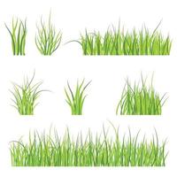 Set of green grass pattern vector