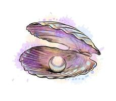 Concha abierta con perla en el interior de un toque de acuarela boceto dibujado a mano ilustración vectorial de pinturas vector