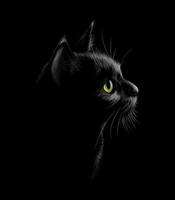 Portrait of a cat on a black background Vector illustration