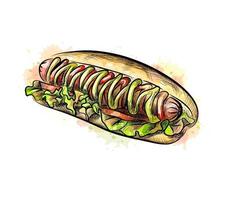 Hot dog from a splash of watercolor hand drawn sketch Vector illustration of paints