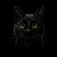 Retrato de un gato en una ilustración de vector de fondo negro