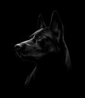 Portrait of a black shepherd dog on a black background Vector illustration
