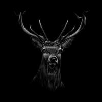 Retrato de una cabeza de ciervo en una ilustración de vector de fondo negro