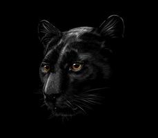 Head of a black panther isolated on a black background Vector illustration