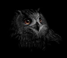 Portrait of a long eared owl on a black background Vector illustration