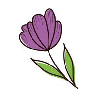 beautifull flower with leafs garden spring hand draw style vector