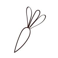 fresh carrot vegetable line style vector