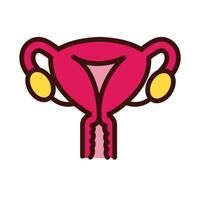 uterus human organ line and fill style vector