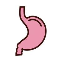 stomach human organ line and fill style vector