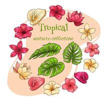 Tropical collection with exotic flowers and carved leaves in cartoon style