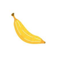 banana exotic fruit flat style vector