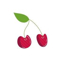 cherry exotic fruit flat style vector