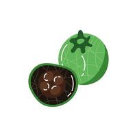 black sapote exotic fruit flat style vector