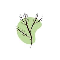 branch dry hand draw style vector