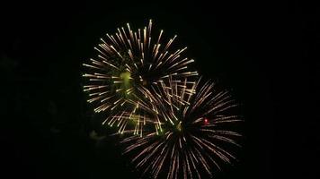Fourth of July fireworks display video