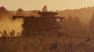 mietitrebbia il trattore nella raccolta del campo al tramonto video