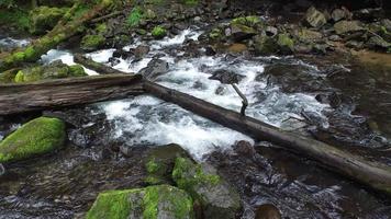 riacho com pedras e troncos video