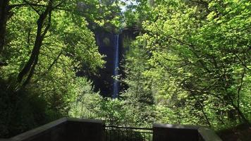Waterfall in Columbia River Gorge, Oregon video