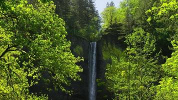 Cascada enmarcada por árboles, Columbia River Gorge, Oregón video