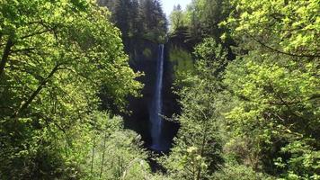 Waterfall in Columbia River Gorge, Oregon video