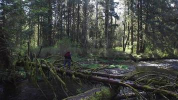 homem tirando fotos de riacho e floresta