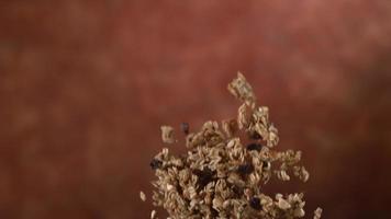 granola vliegt in slow motion, geschoten op phantom flex 4k video