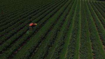 vue aérienne du tracteur fauchant et pulvérisant le champ de bleuets