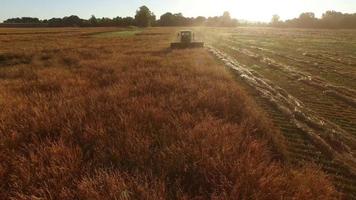 Aerial shot of combine in field at sunrise video