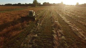 Aerial shot of combine in field at sunrise video