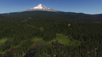 Luftaufnahme von Trilliumsee und mt. Haube, Oregon video