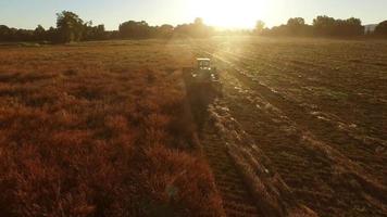 Aerial shot of combine in field at sunrise video