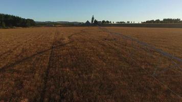 Luftaufnahme von Bewässerungsanlagen im Feld bei Sonnenaufgang video