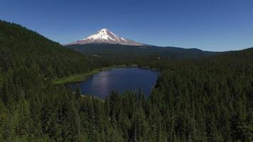 antennskott av trilliumsjön och mt. huva, Oregon video